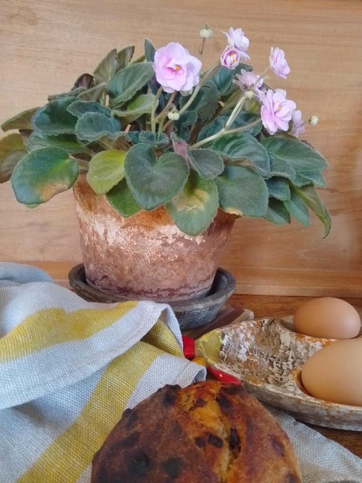 Bastida De Beata Bed & Breakfast Noailles  ภายนอก รูปภาพ